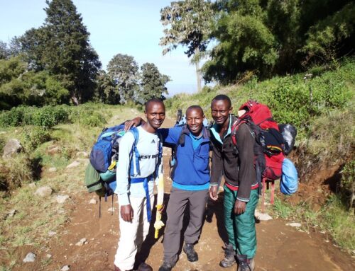 Mount Kenya Climbing : 6 Days Sirimon->Naromoru