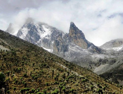 Mount Kenya Climbing: 4 Days Sirimon Down Chogoria